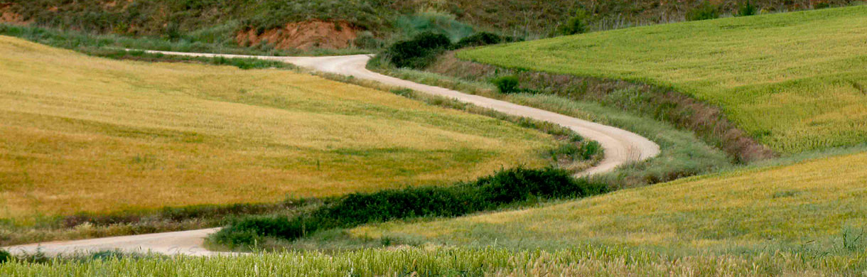 Final de la etapa 6 Camino de Santiago llegando a Los Arcos. Nos espera un merecido descanso en Pensión Ostadar, donde dormir.