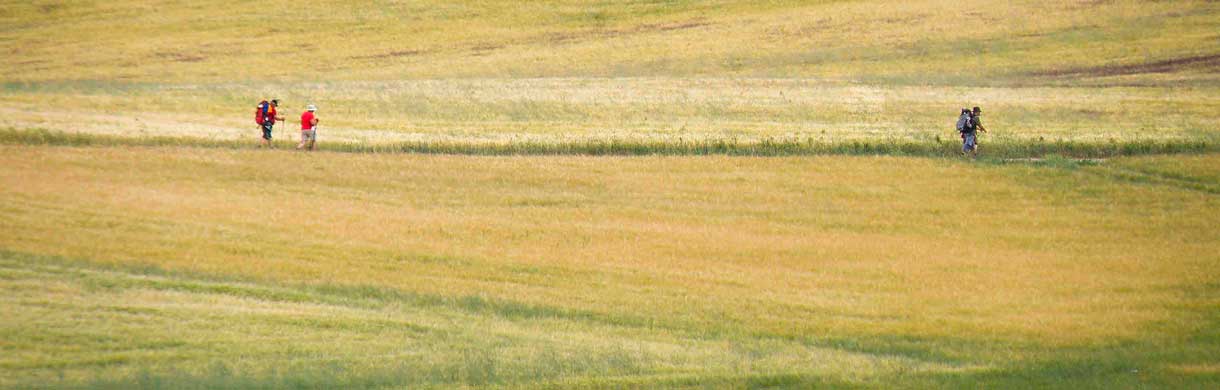 Final de la etapa 6 Camino de Santiago llegando a Los Arcos. Nos espera un merecido descanso en Pensión Ostadar, donde dormir.